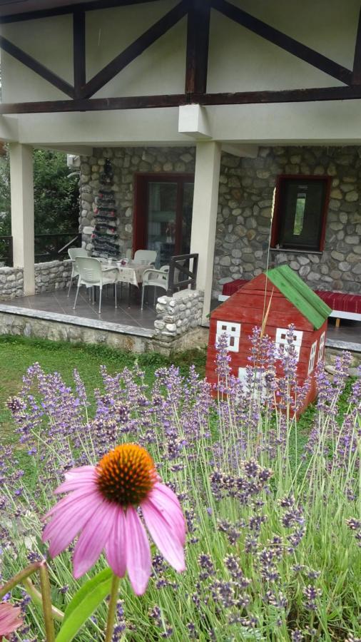 Chalet Mila Mavrovo-Nationalpark Exterior foto