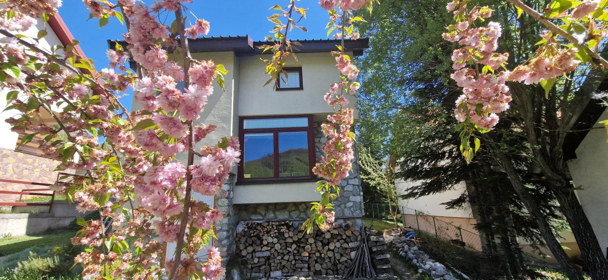 Chalet Mila Mavrovo-Nationalpark Exterior foto